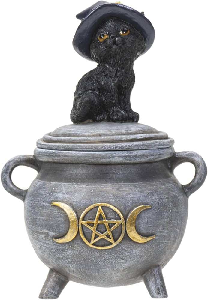 Pacific Giftware Black Cat with Witch Hat Sitting on Cauldron Box, Polyresin Jewelry or Coin Hold... | Amazon (US)
