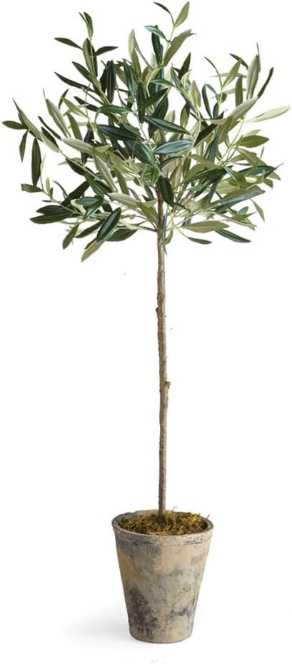 Amazon.com : Napa Home & Garden Olive Tree Potted 30" Green : Home & Kitchen | Amazon (US)