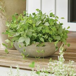 Lush Leaves Urn Filler | Grandin Road | Grandin Road