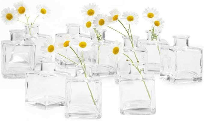 Chive - Loft, Small Glass Flower Vases, Decorative Rustic Floral Vases for Home Decor Centerpiece... | Amazon (US)