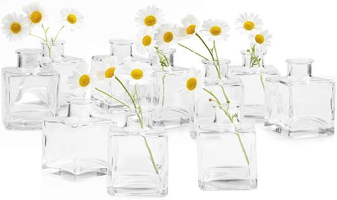 Chive - Loft, Small Glass Flower Vases, Decorative Rustic Floral Vases for Home Decor Centerpiece... | Amazon (US)