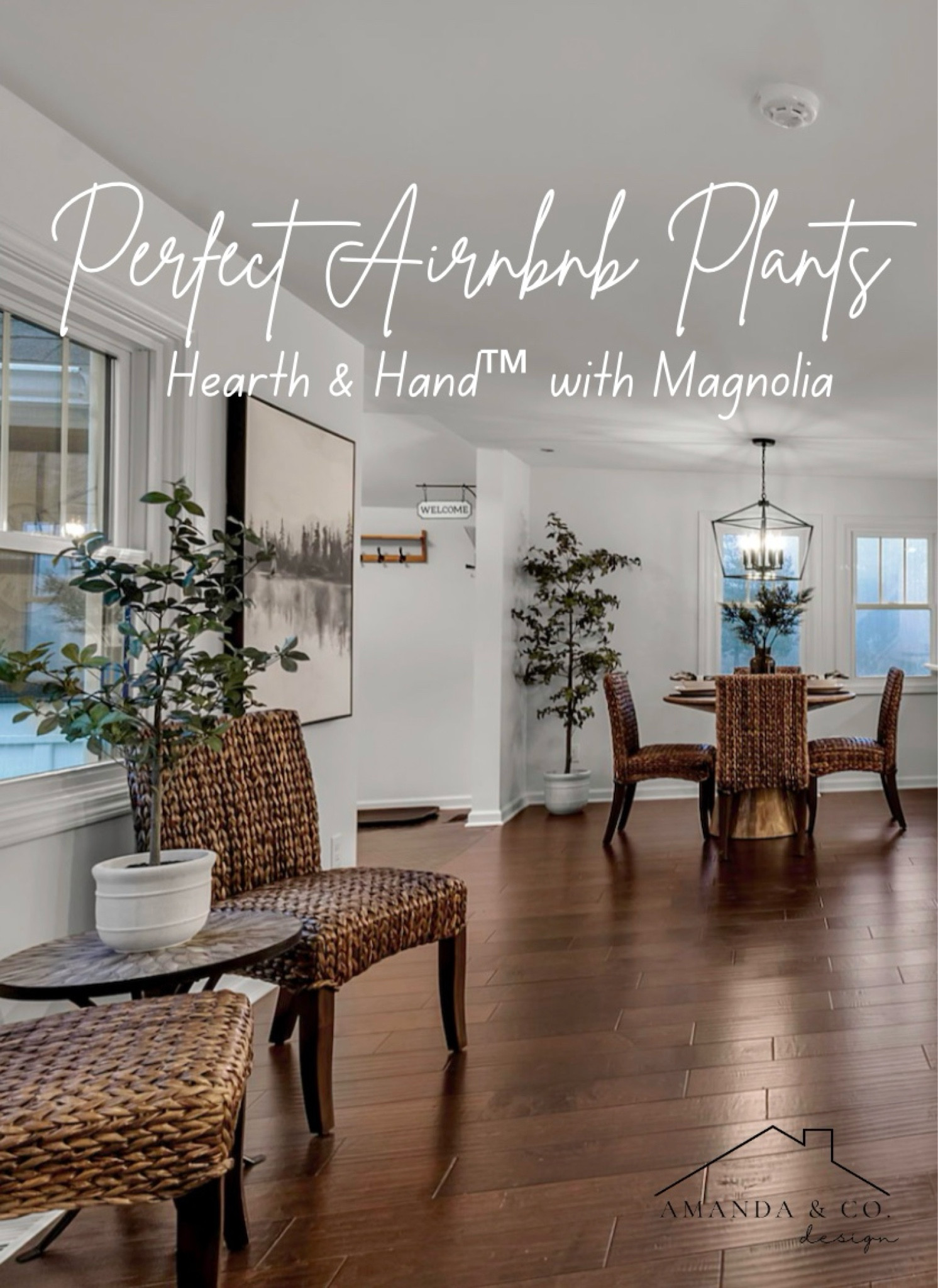 Enhancing your Airbnb with faux plants from Hearth & Hand™ with Magnolia can create a welcoming and stylish atmosphere for your guests. 

Here are some top picks that blend aesthetic appeal with low maintenance. 

#LTKStyleTip #LTKTravel #LTKHome