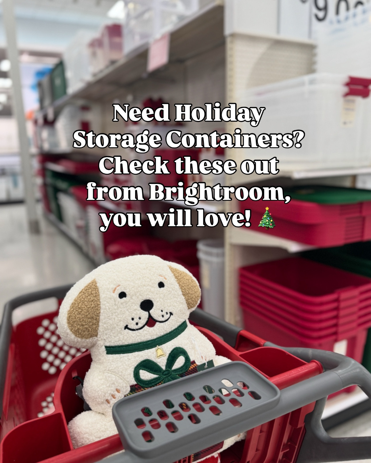 If you are looking for storage solutions for the holiday season, make sure to check out these from Brightroom. You can find an array of storage bins and containers to keep all your beautiful ornaments and decor in good shape for years to come. I love buying new ones every year (since my decor collection grows). You can find a lot of red and green latching containers to keep everything nice and secure. 

You will definitely want to grab this metal 2 tier accessories organizer 🙂‍↔️ perfect for all your gift wrapping essentials.

#LTKCyberWeek #LTKSeasonal #LTKHoliday