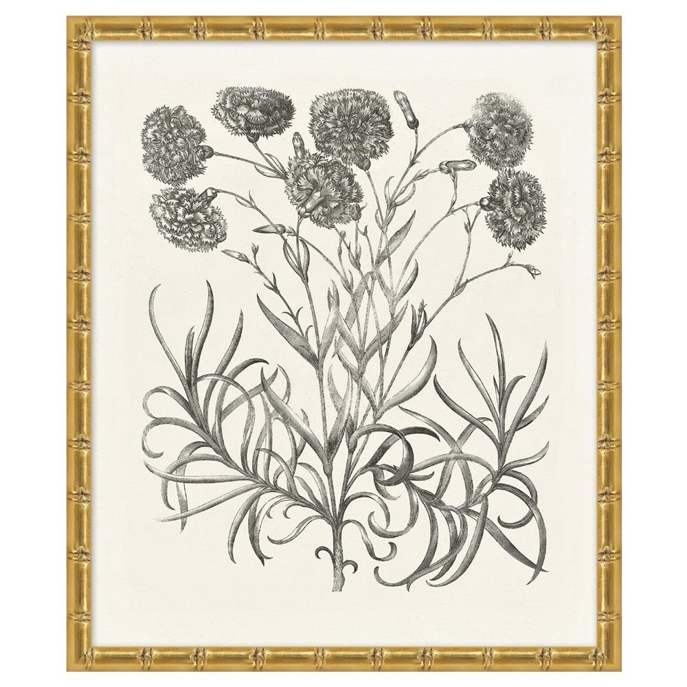 Amanda French Country Black Floral & Botanical Gold Frame Illustration 14 | Kathy Kuo Home