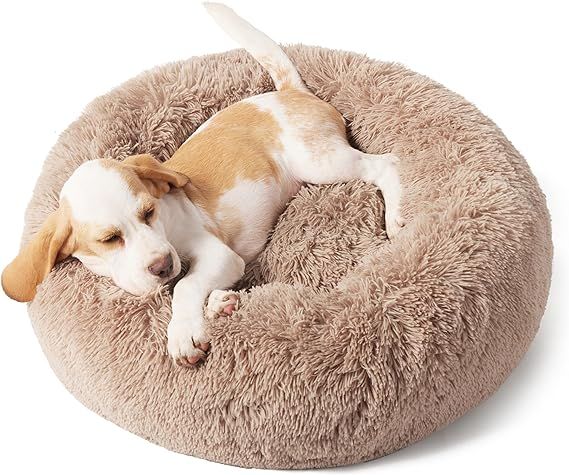 Bedsure Calming Dog Bed for Small Dogs - Donut Washable Small Pet Bed, 23 inches Anti-Slip Round ... | Amazon (US)