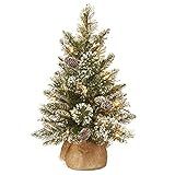 Amazon.com: National Tree Company Pre-lit Artificial Mini Christmas Tree | Includes Small LED Lig... | Amazon (US)