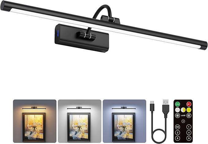 24" Picture Light with 8000mAh Battery - Black Operated Wireless Wall Sconce with Remote & Timer ... | Amazon (US)