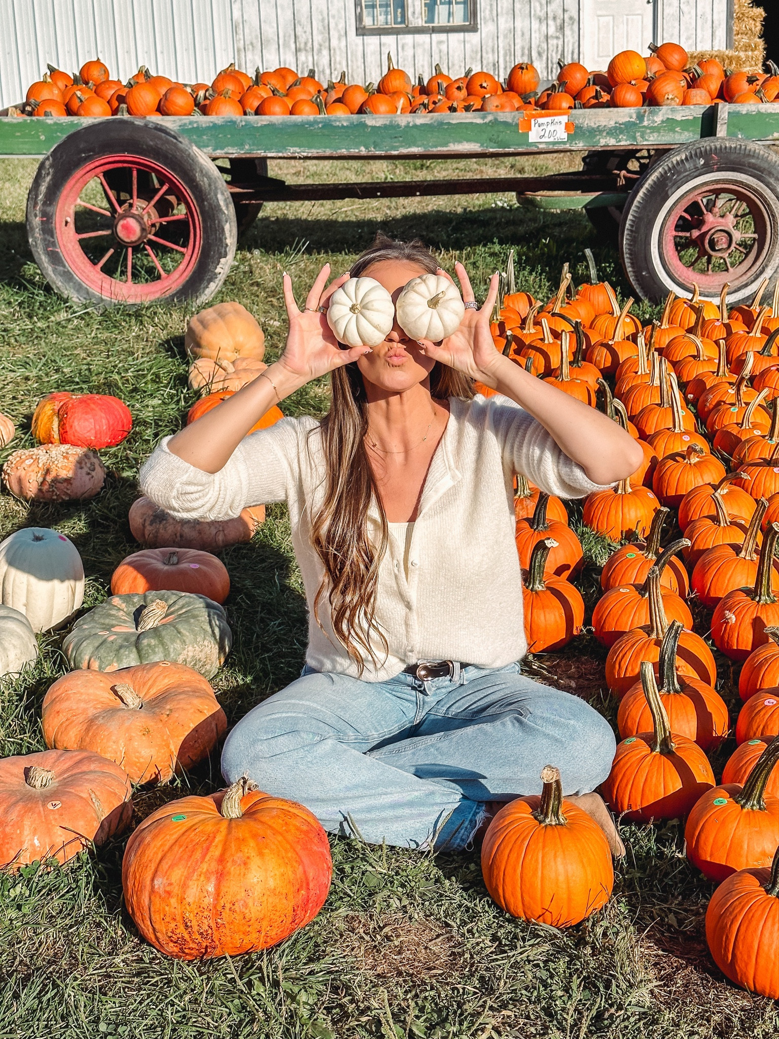 Pumpkin patch fun. Wearing my favorite fall cardigan from Sezane. So comfy!

#LTKfindsunder50 #LTKSeasonal #LTKshoecrush