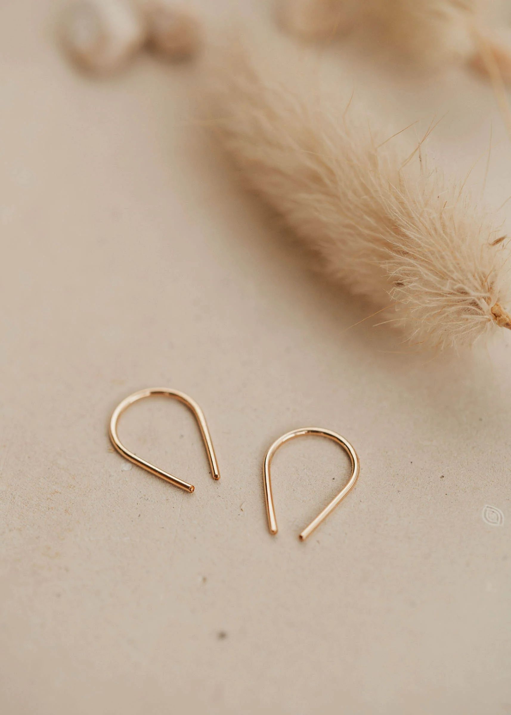 Tiny Horseshoe Earrings - Overstock | Hello Adorn