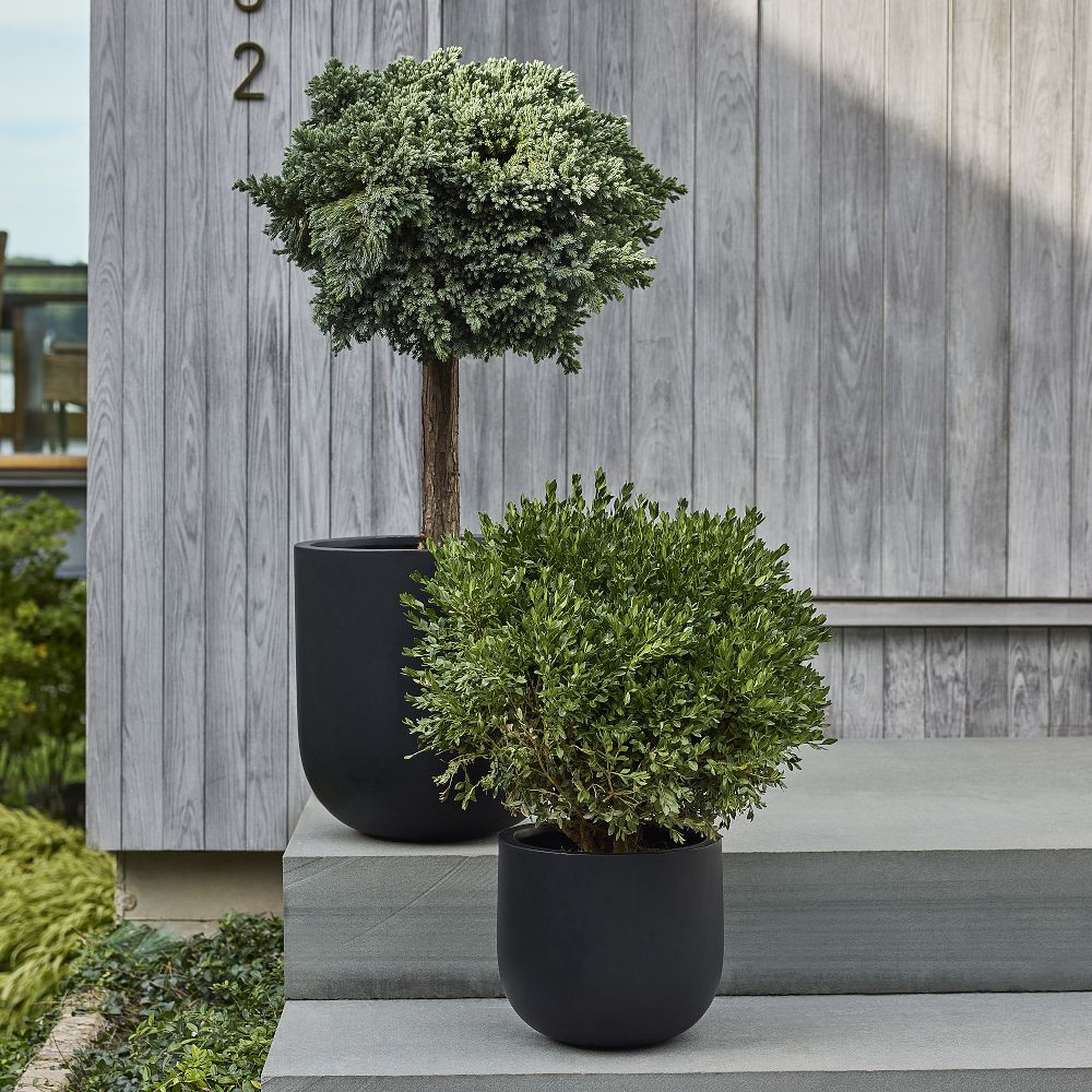 Low Wide - 24"D x 16"H | West Elm (US)