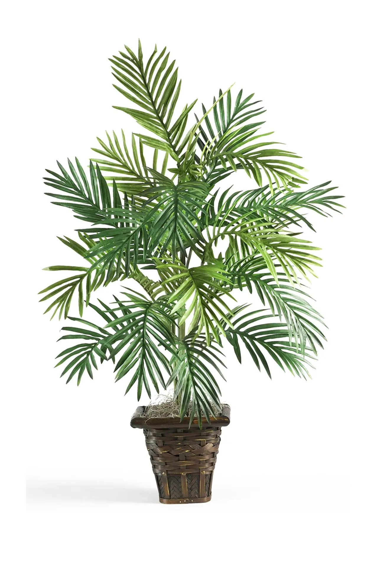 NEARLY NATURAL | Areca Palm with Wicker Basket Silk Plant | Nordstrom Rack | Nordstrom Rack