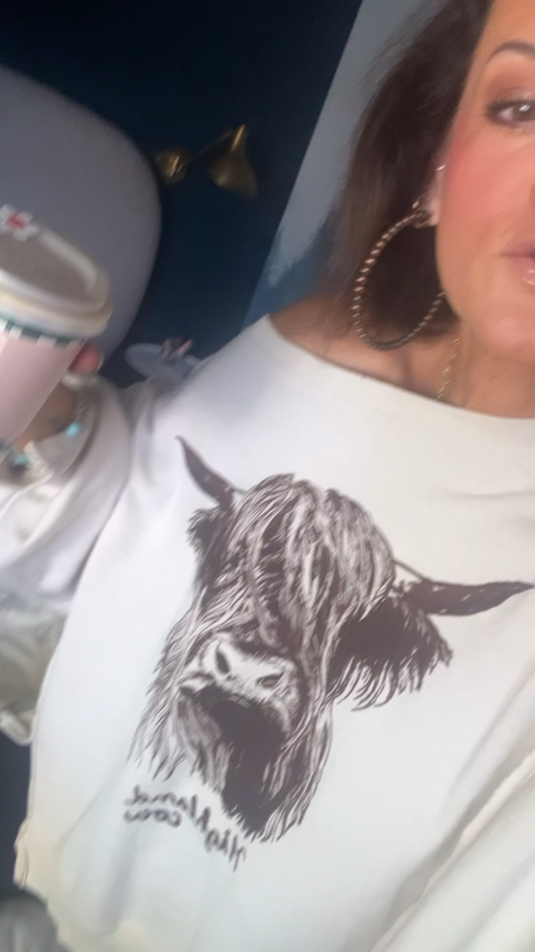 Free People Camden Highland cow sweatshirt  

#LTKStyleTip #LTKOver40 #LTKFindsUnder50