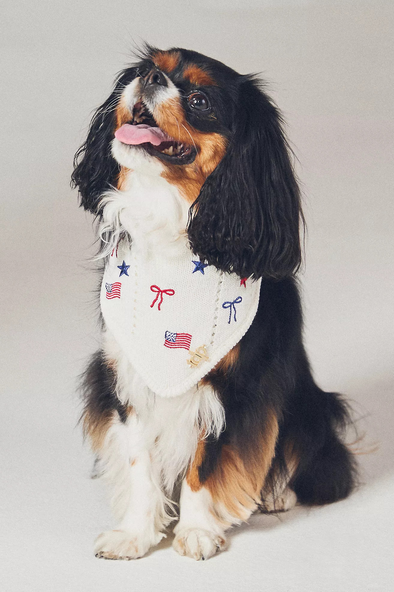 The Deluxe Pup Fourth of July Pet Bandana | Anthropologie (US)