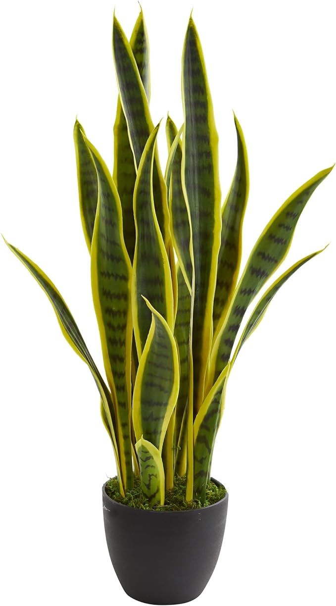 Nearly Natural 26 in. Sansevieria Artificial Silk Plants, Green | Amazon (US)