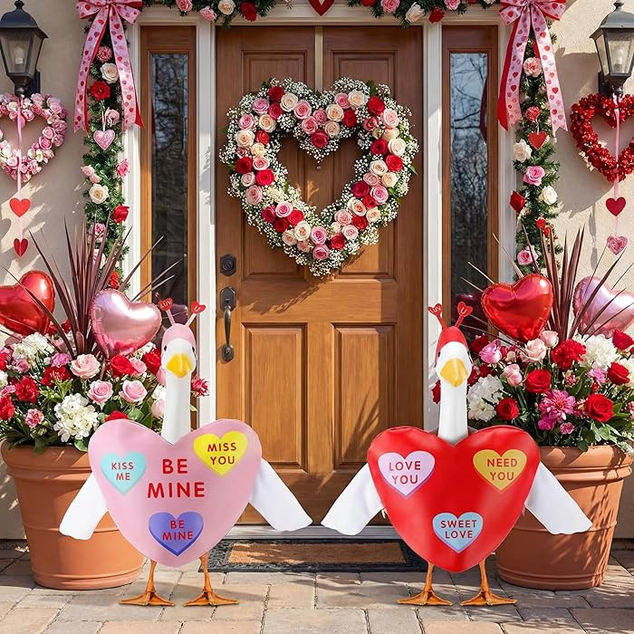 Abbylike 2 Sets Valentine's Day Porch Goose Outfits Conversation Heart Porch Yard Goose Outfits C... | Amazon (US)