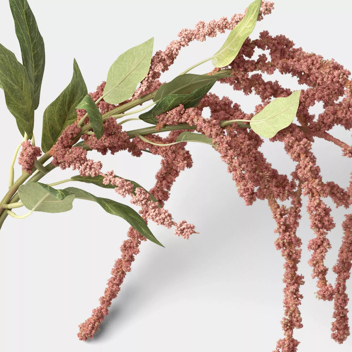 Amaranthus Stem - Threshold™ | Target