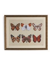 20x25 Butterfly Wall Art Framed | TJ Maxx