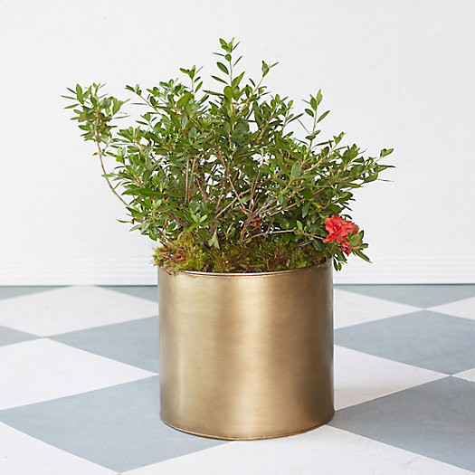 Habit + Form Cylinder Pot | Terrain
