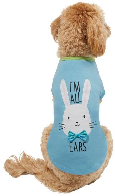 Wagatude I'm All Ears Bunny Dog T-Shirt, Blue, X-Small | Chewy.com