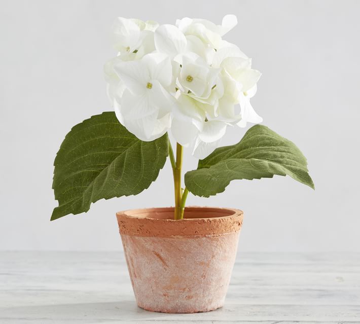 Faux Potted Hydrangea - White | Pottery Barn (US)