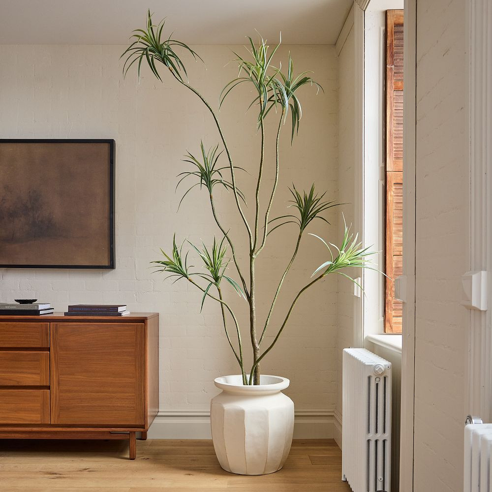 Faux Potted Dracaena | West Elm (US)