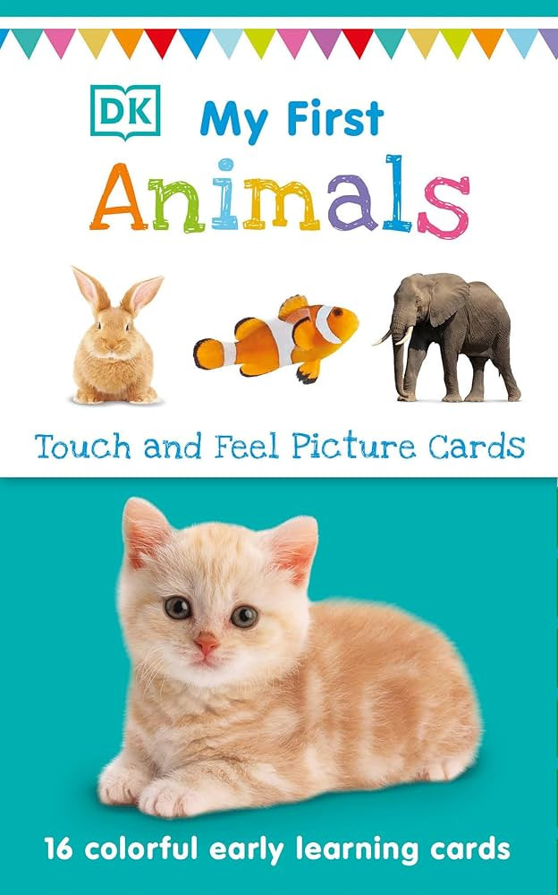 My First Touch and Feel Picture Cards: Animals (My First Board Books) | Amazon (US)