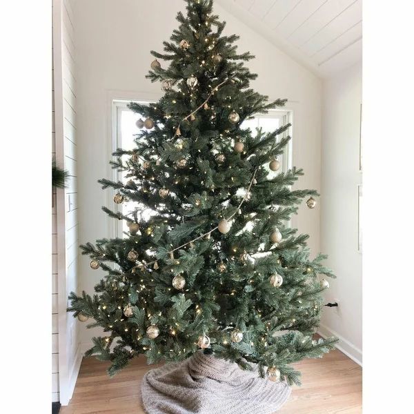 9.0 Foot Pre Lit Foxtail Pine Green Christmas Tree, Clear LED Lights | Wayfair North America