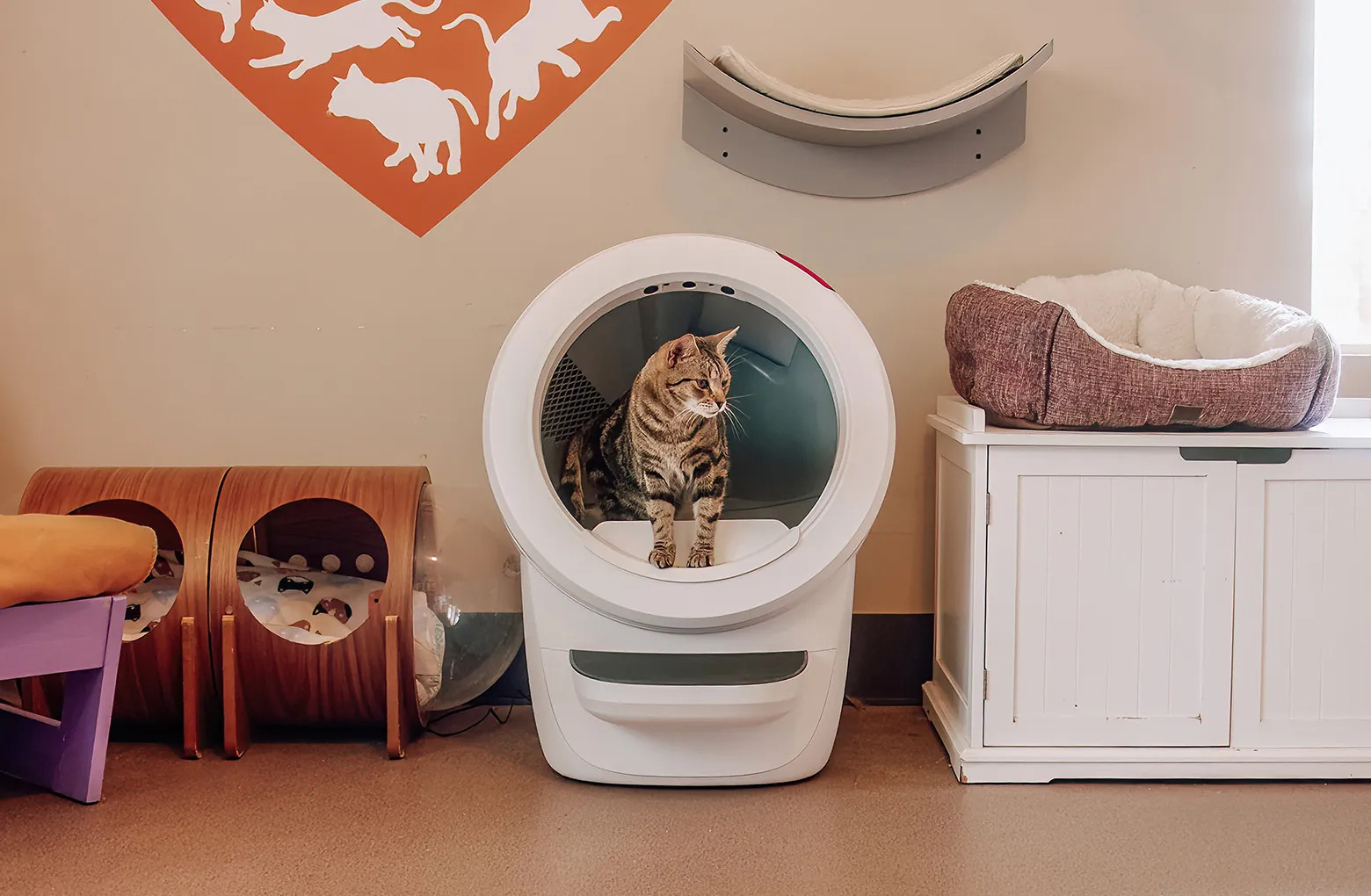 Litter-Robot 4 Best Friends® Bundle | Never Scoop Again and Help Save a Cat | Self-Cleaning Litter Box Bundle with Best Friends Animal Society | Litter-Robot by Whisker