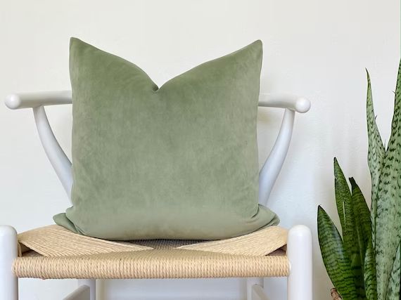 Belgium Mint Green Velvet Pillow Cover  Light Green Pillow  - Etsy | Etsy (US)