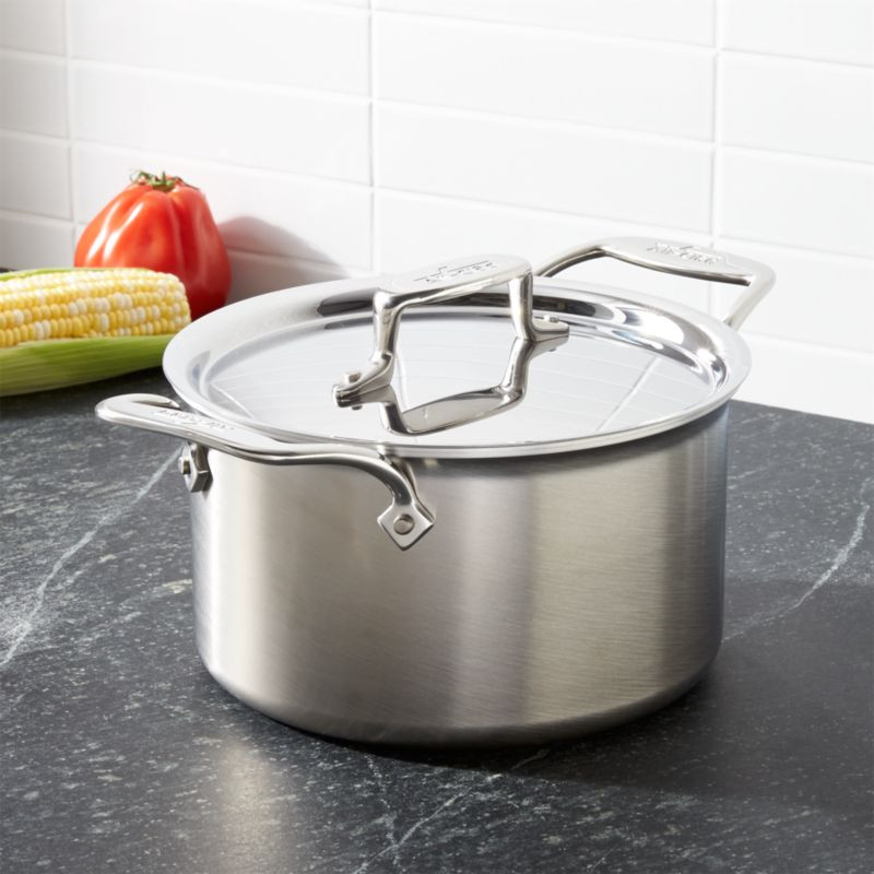 All-Clad d5 Brushed Stainless Steel 4 qt. Soup Pot with Lid + Reviews | Crate & Barrel | Crate & Barrel