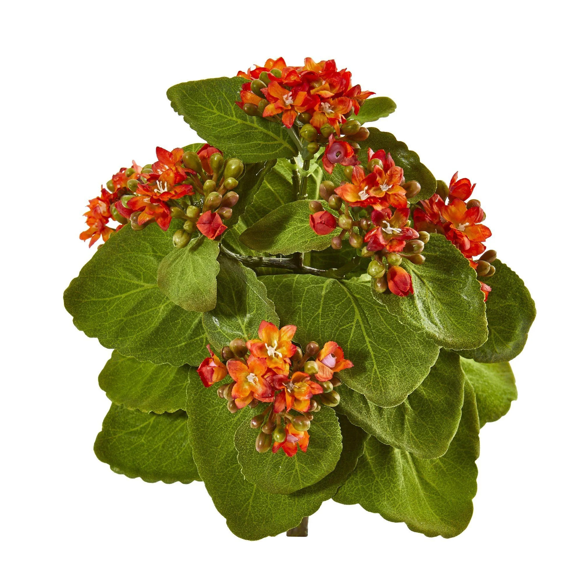8” Kalanchoe Artificial Bush Flower (Set of 6) 2282-S6 Nearly Natural | Nearly Natural