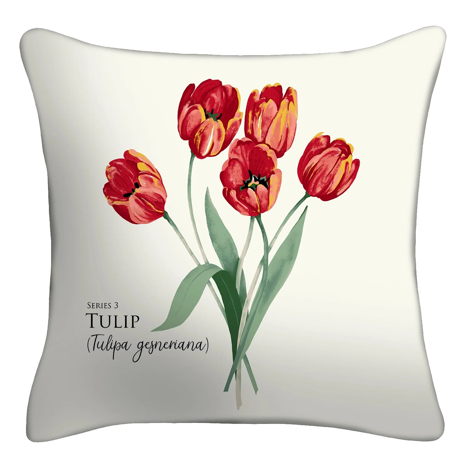 Mainstays 16" x 16" Tulip Decorative Outdoor Throw Pillow, Off-White/Green | Walmart (US)