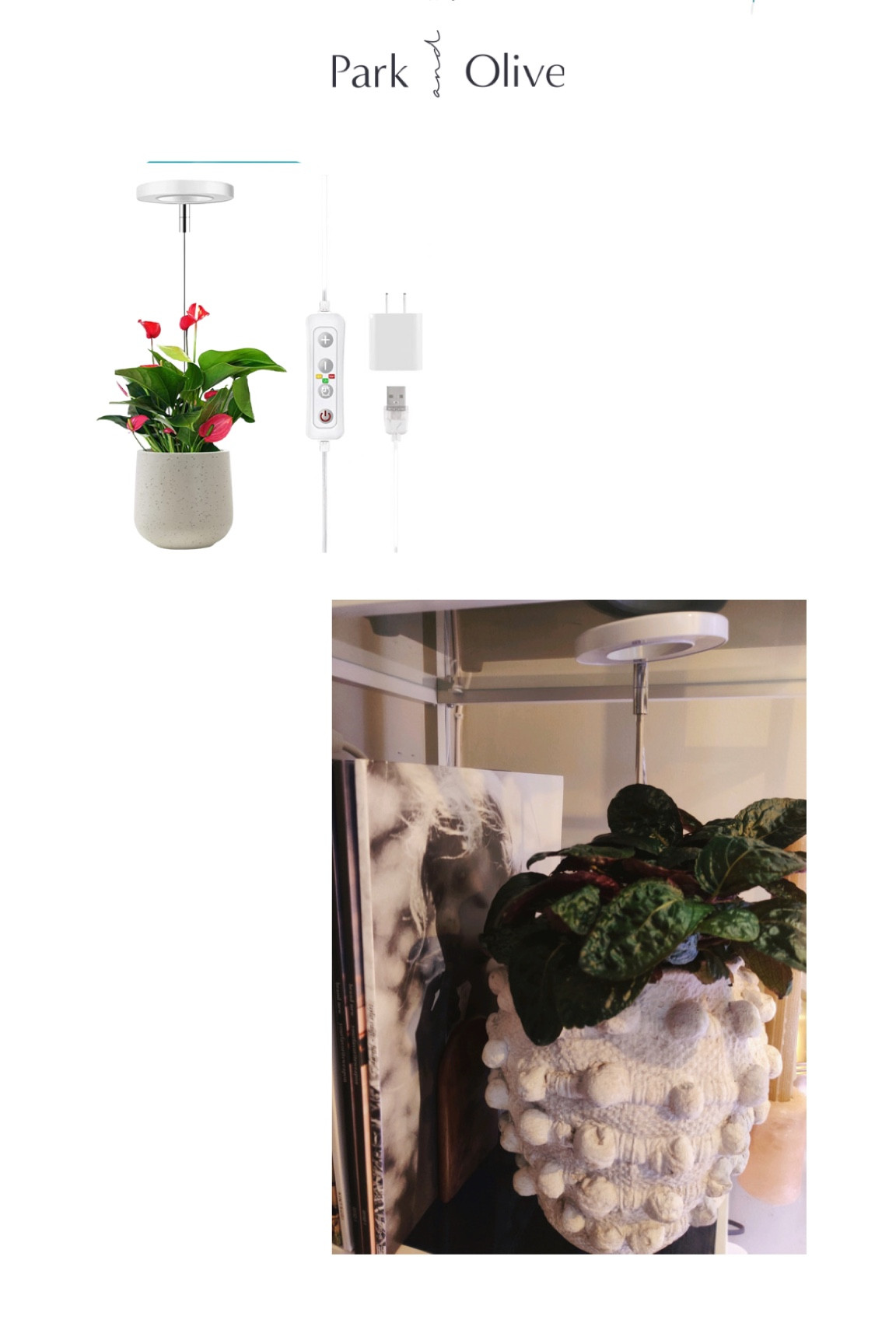 Plant light 


#LTKhome #LTKunder50 #LTKFind