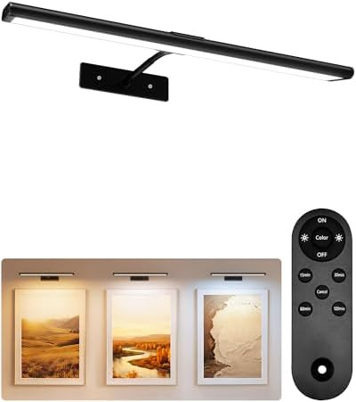 EZVALO Picture Light for Wall, 4800mAh 16'' Rechargeable Wireless IR Remote Built in Battery Ligh... | Amazon (US)