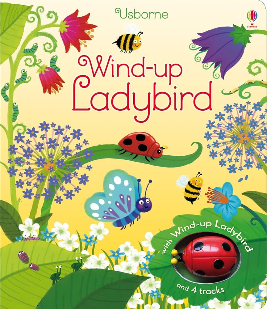 Wind-Up Ladybird by Fiona Watt (1-Mar-2015) Board book | Amazon (US)