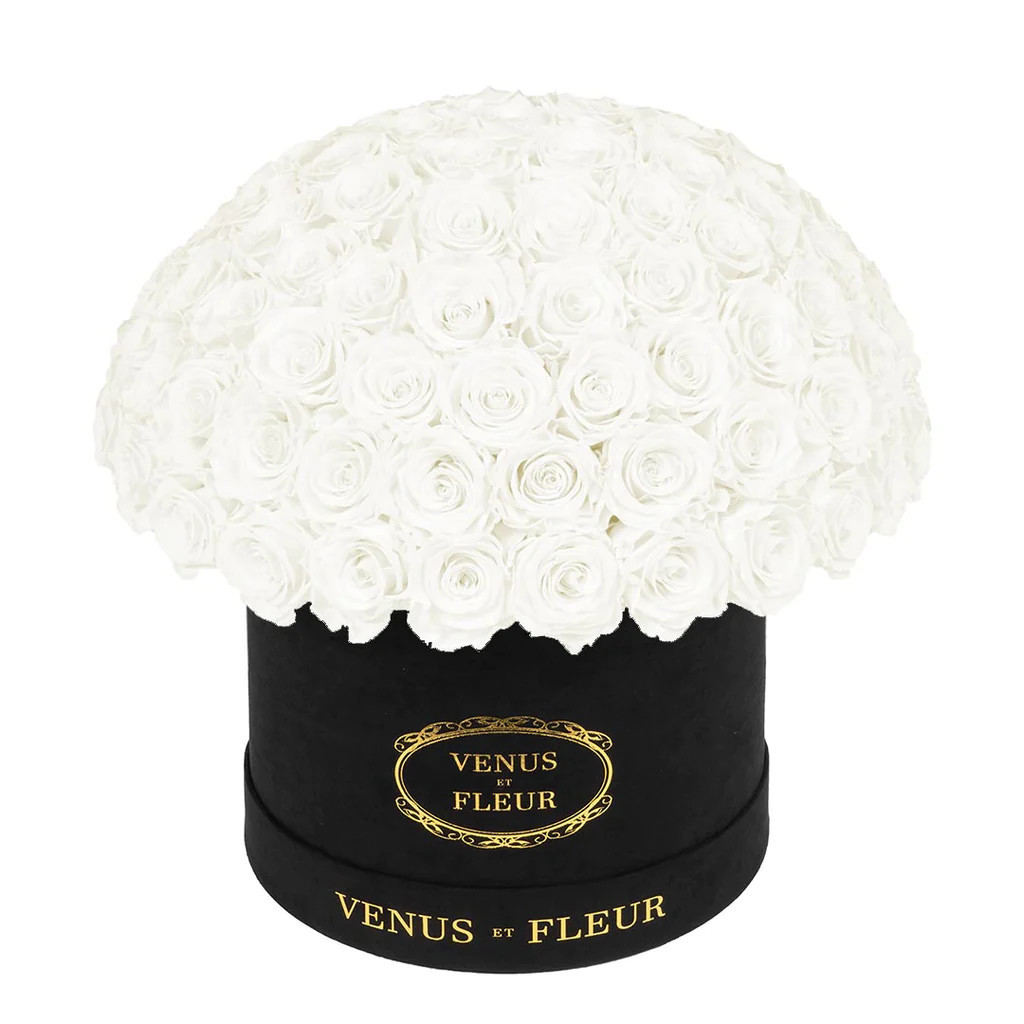Le Plein | Venus ET Fleur