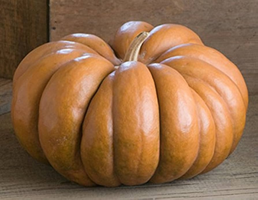 Musque de Provence Pumpkin Seeds - One of The Most Intereting and Decorative Pumpinks as Well as ... | Amazon (US)