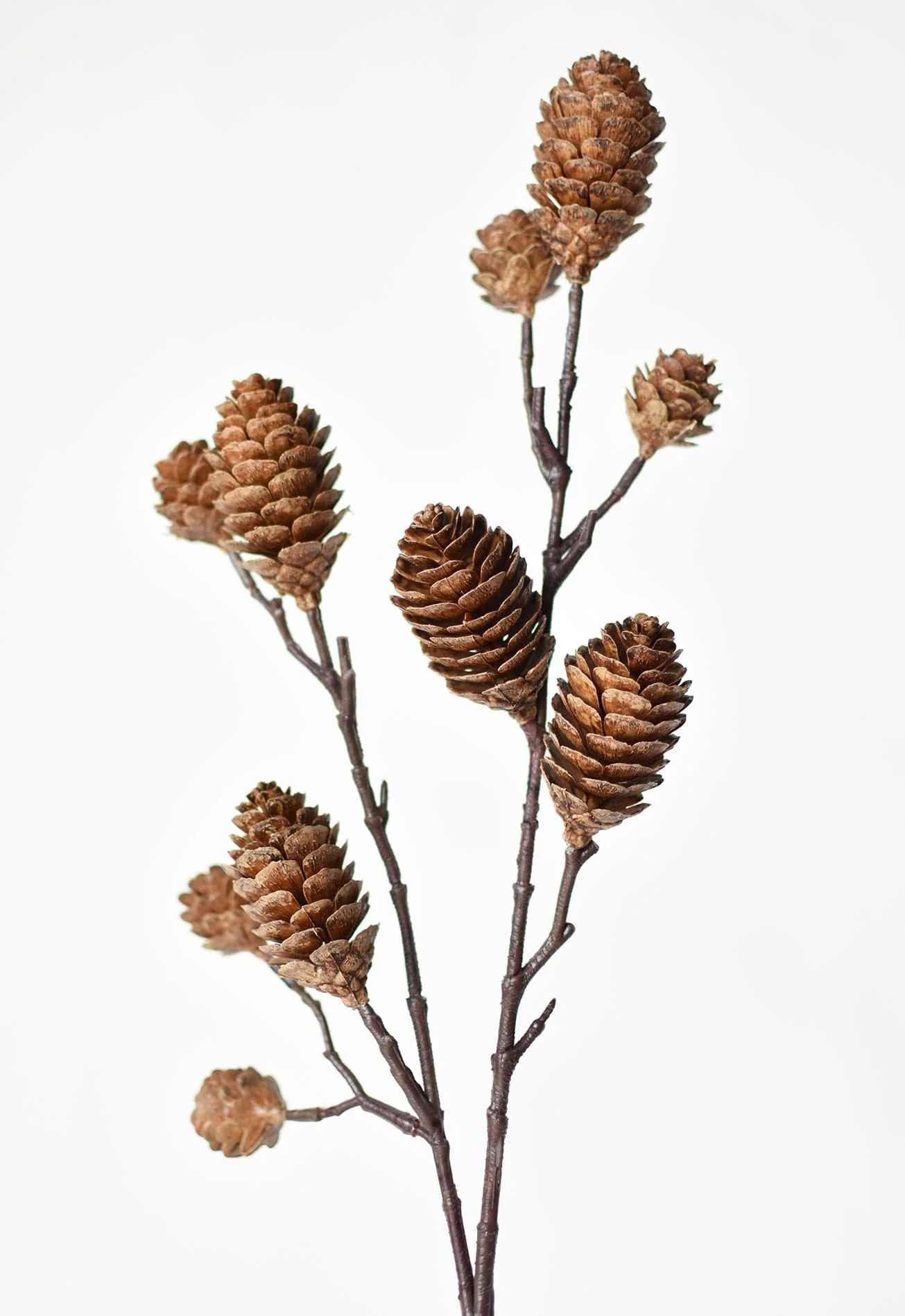 28" Faux Pine Cone Branch Stem | HouseFloral