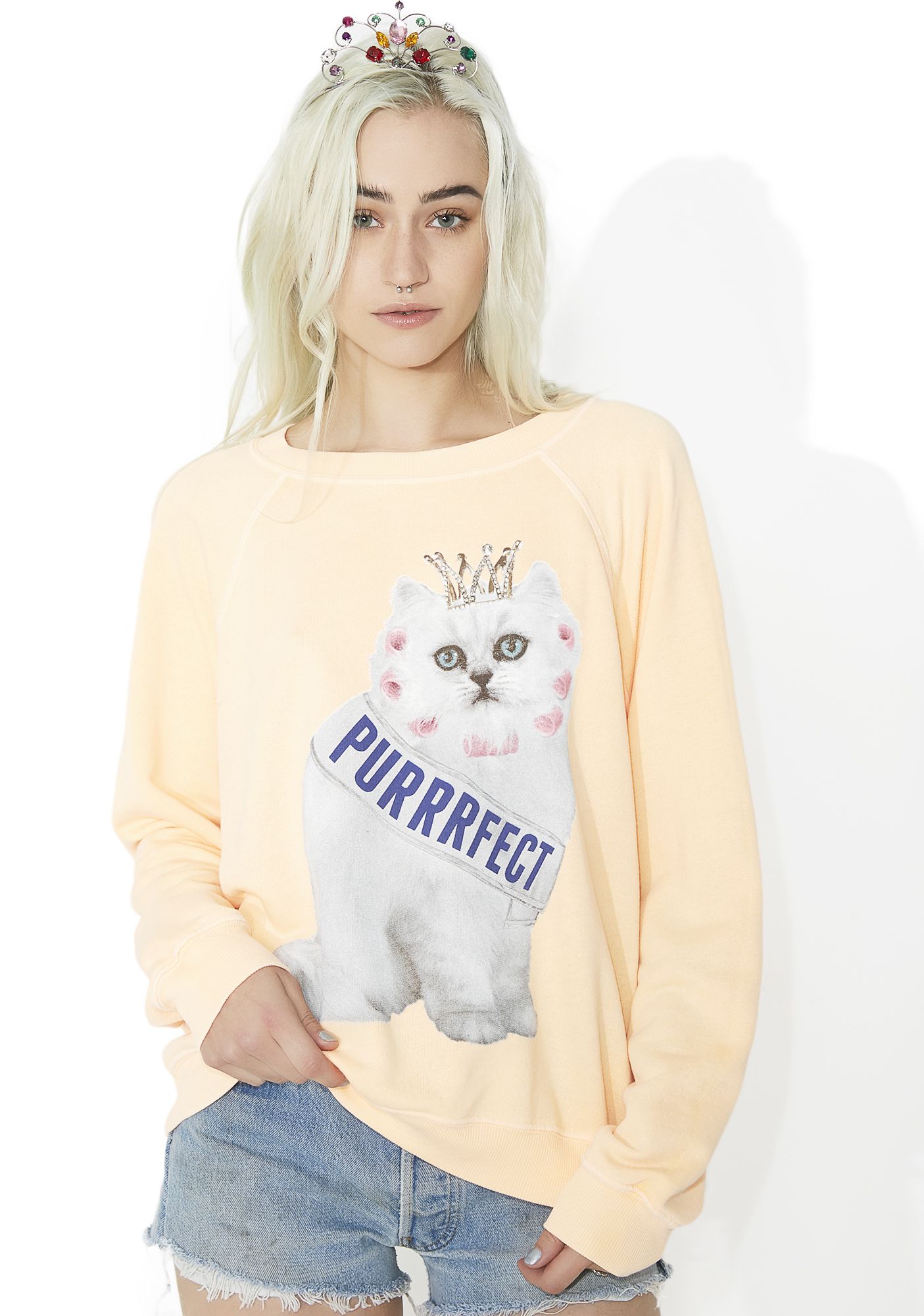 Wildfox Couture Purrfect Sommers Sweater | Dolls Kill