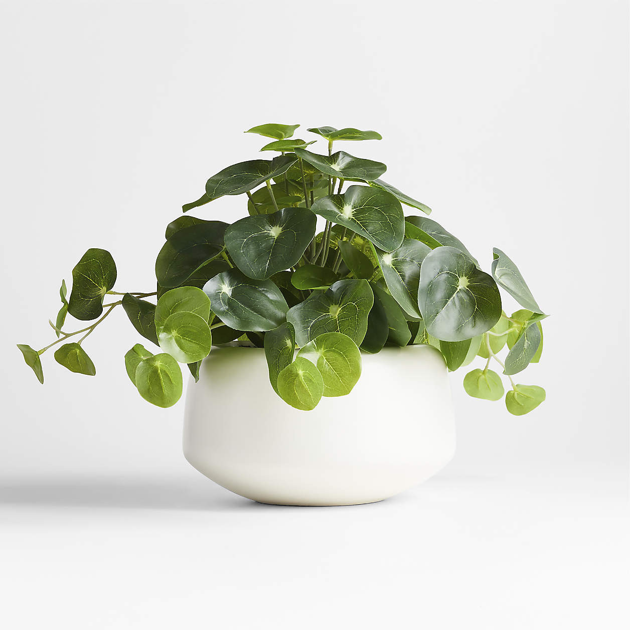 Potted Faux Pilea Plant in White Pot + Reviews | Crate & Barrel | Crate & Barrel