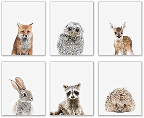 Crystal Baby Woodland Animals Poster Prints - Set of 6 (8x10) Adorable Furry North American Portr... | Amazon (US)