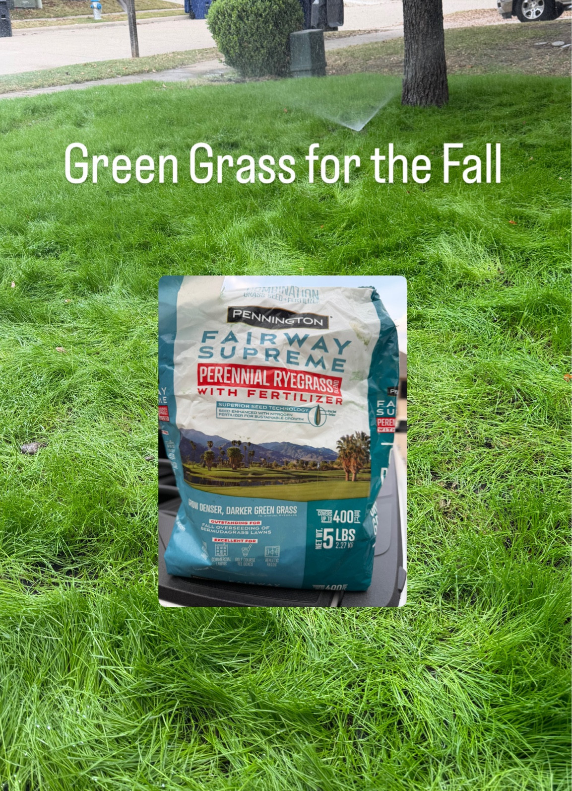 Keep your lawn looking beautiful all year long! Lawn care specifically for fall sustainable grow growth 

#LTKSeasonal #LTKSaleAlert #LTKHome