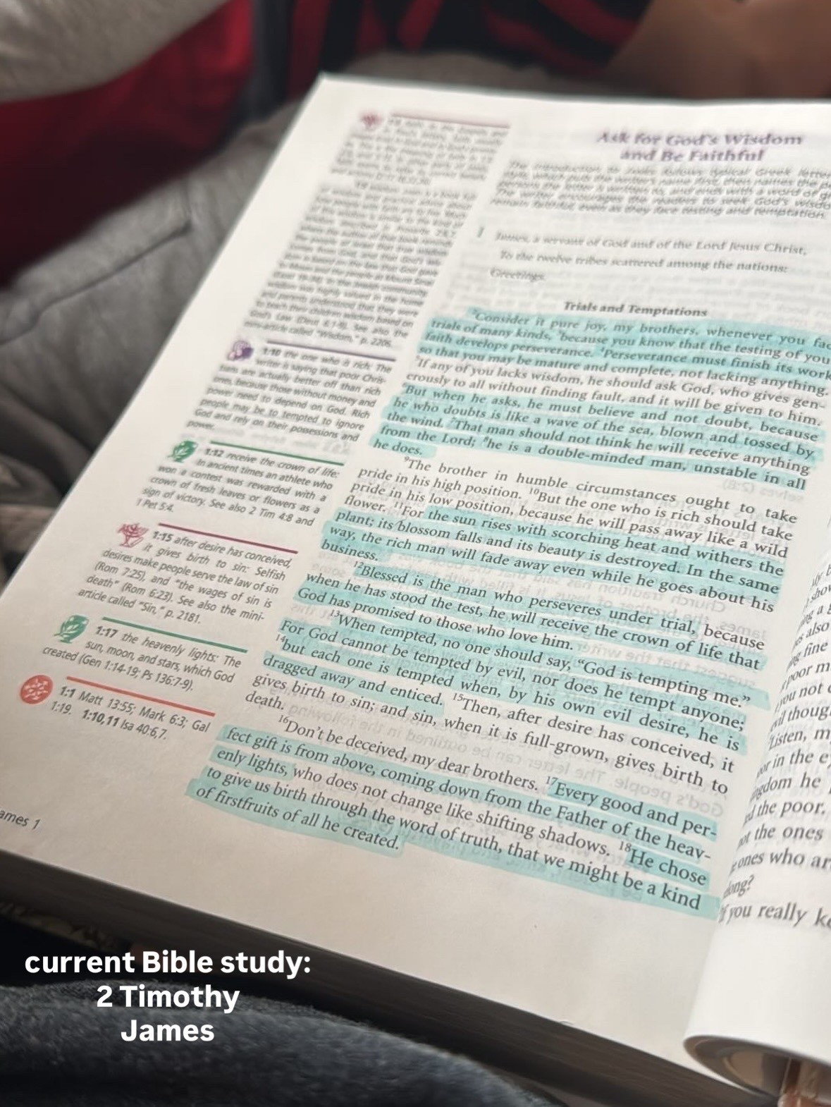 Bibles make great gifts!! Linking a few favorites 🤍 ✝️

#LTKGiftGuide #LTKHoliday #LTKmorningroutine