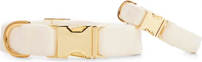 Velvet Dog Collar | Nordstrom