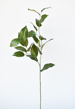 36" Faux Lemon Leaf Branch Stem | Michaels | Michaels Stores