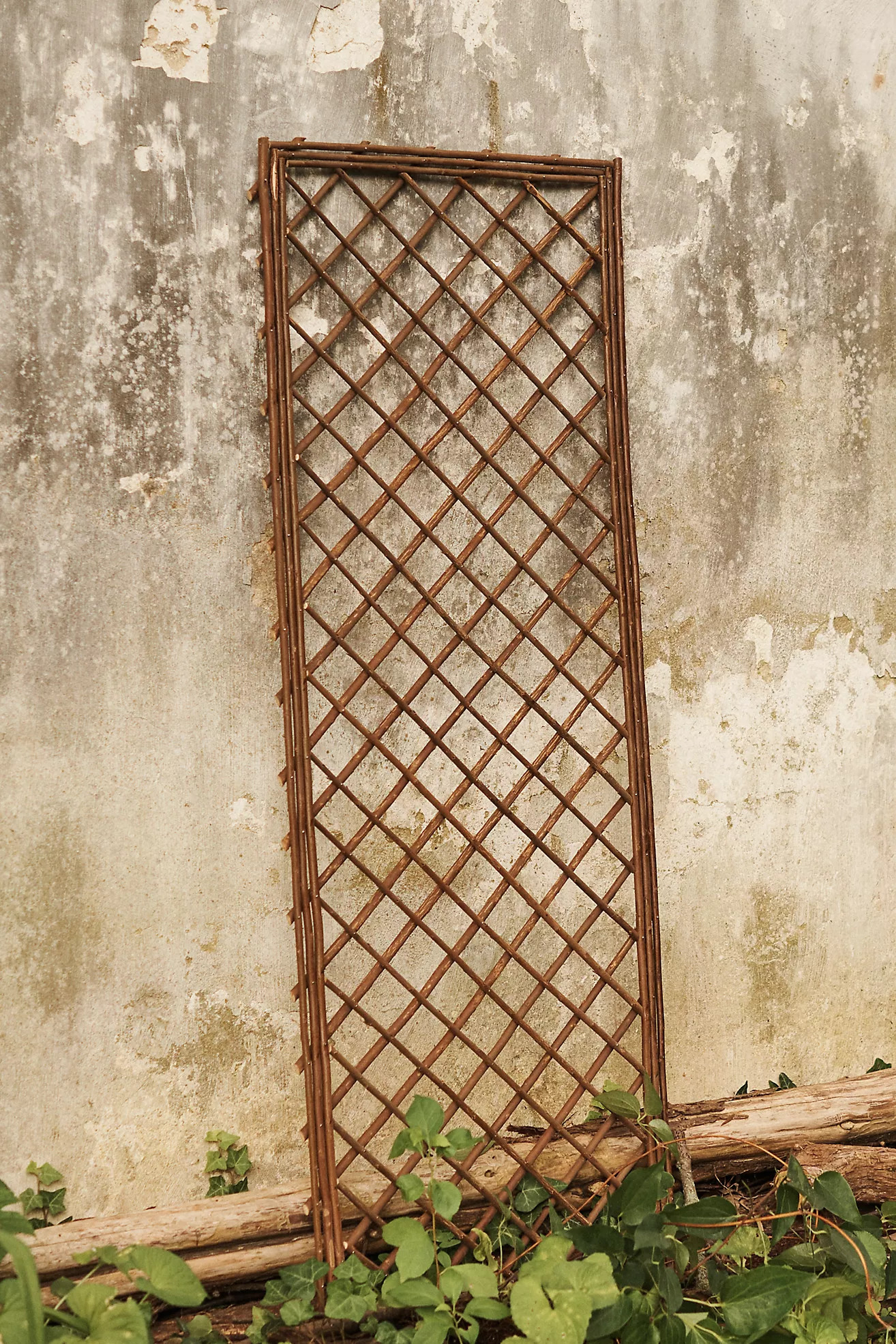 Rectangle Willow Trellis, Large | Anthropologie (US)
