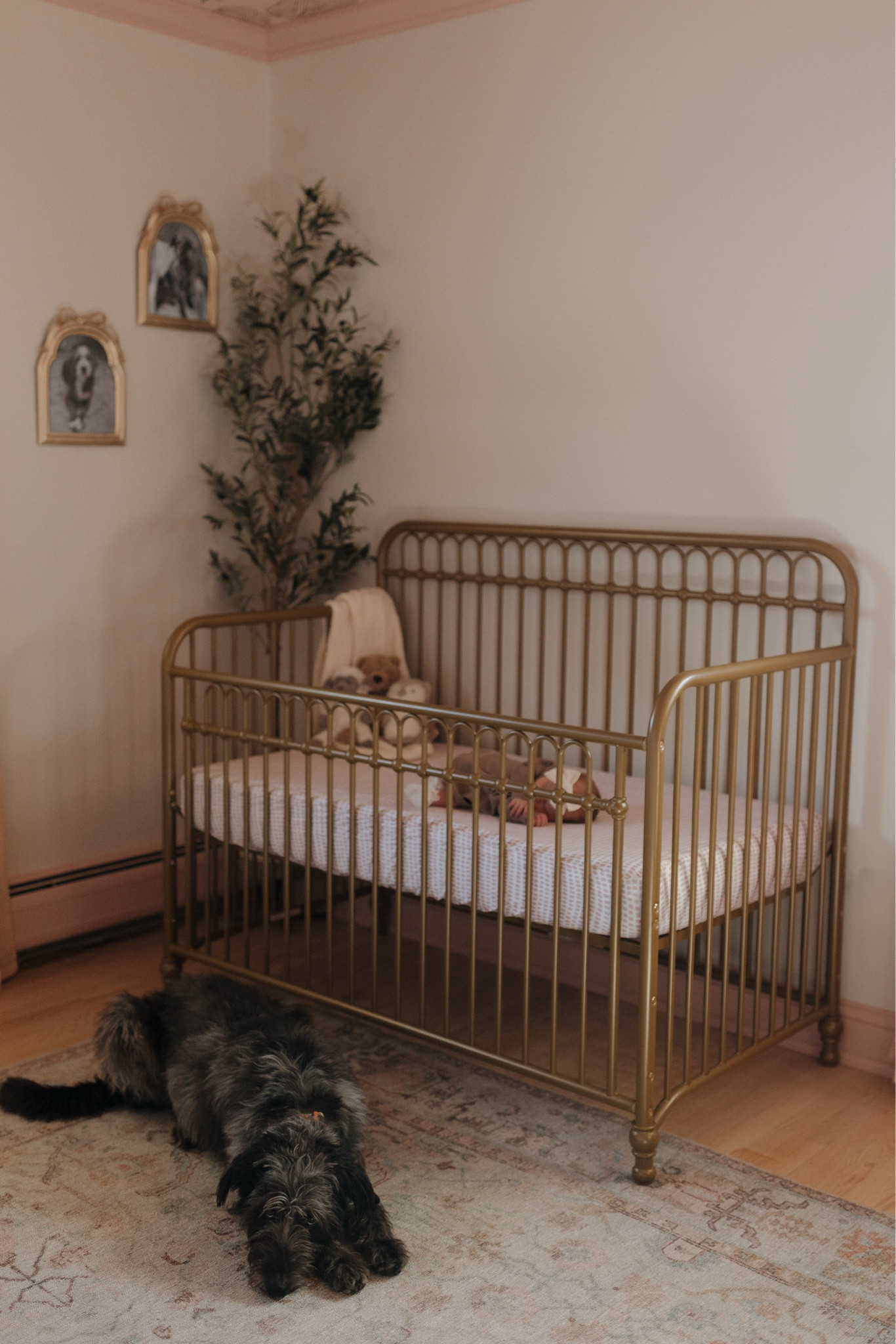 Baby Girl Nursery Inspo



Nursery, Baby girl, Baby girl Nursery, nursery room, nursery crib, crib, bed sheets, baby room, home, amazon home finds, crib, crib sheets, baby girl bed, baby girl inspo, baby room inspo  

#LTKHome #LTKBaby #LTKKids