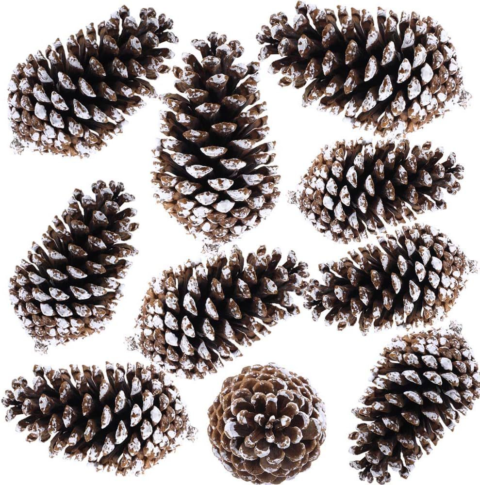Supla 10 PCS Natural Pinecones Medium Frosted Pine Cones Ornaments Real Preserved Pine Cones - Dr... | Amazon (US)
