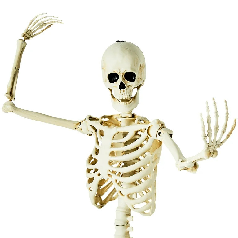 5ft Poseable Skeleton, White - Walmart.com | Walmart (US)