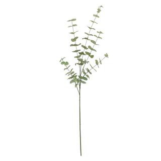 Tall Dusty Green Eucalyptus Stem by Ashland® | Michaels Stores